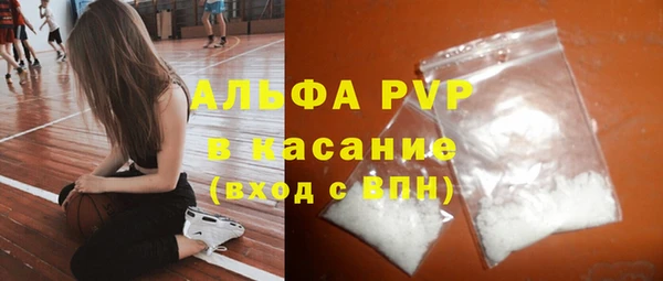 скорость Каменка