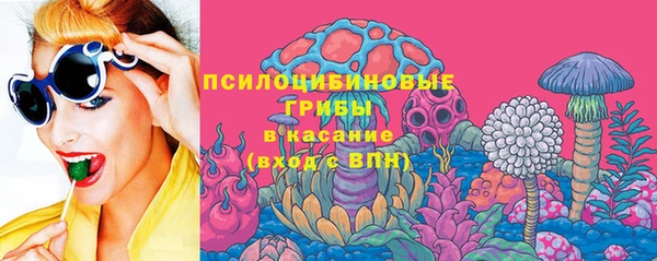 скорость Каменка