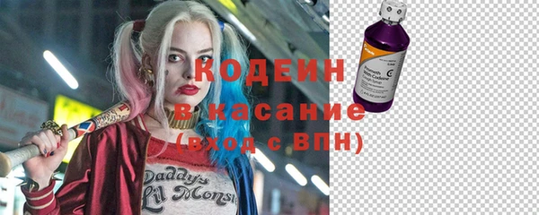 скорость Каменка
