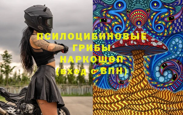скорость Каменка