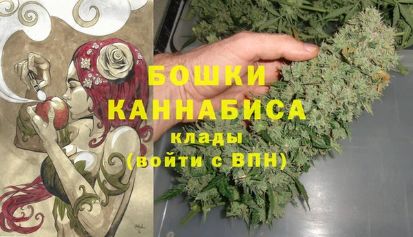 прущая мука Инта
