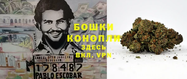 альфа пвп Каменногорск